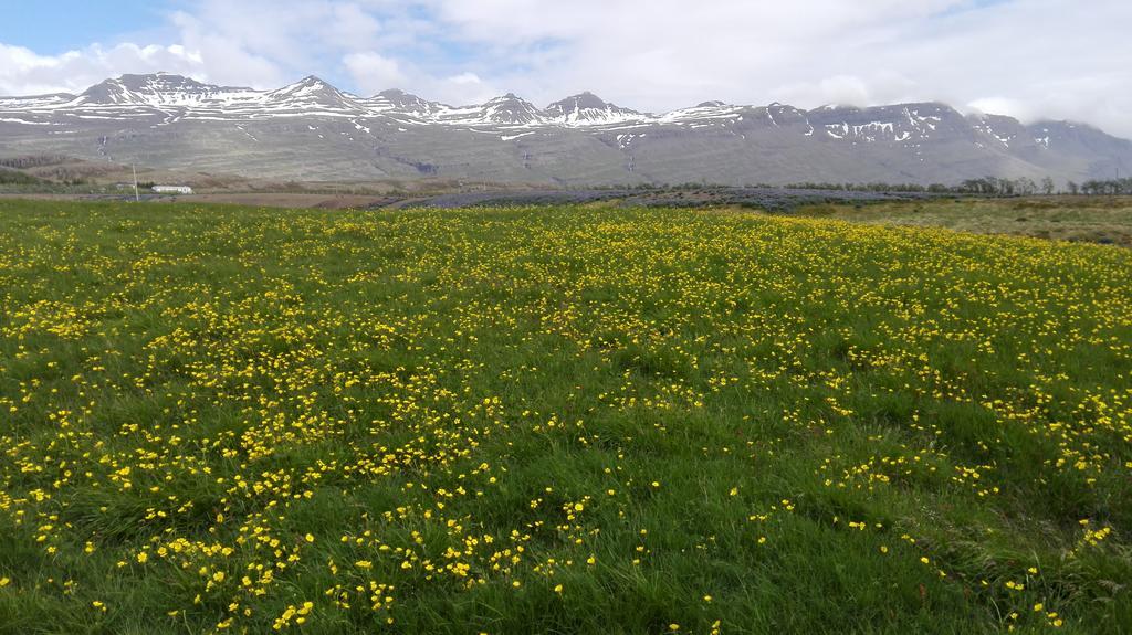 Hotel Stadarborg Breiðdalsvík Exteriér fotografie